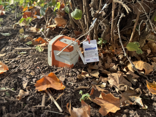 Messgerät (Geophon) umgeben von Laub.